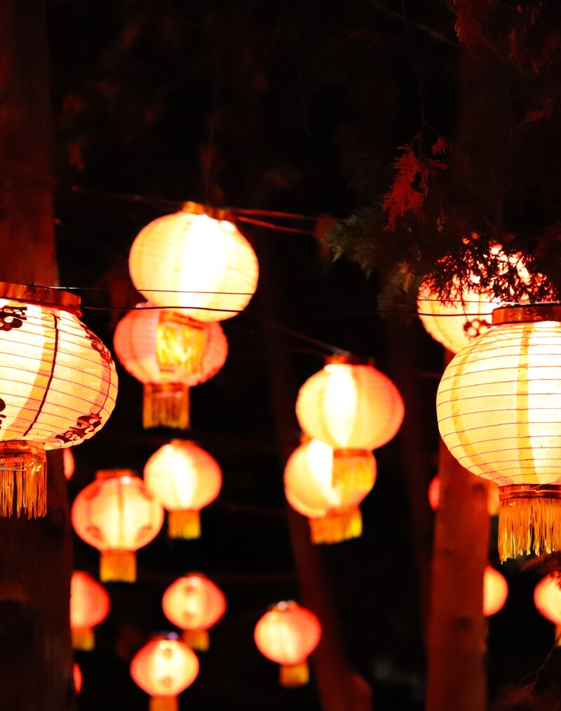 Jardins de lumière au Jardin botanique de Montréal – Sur un Boeing